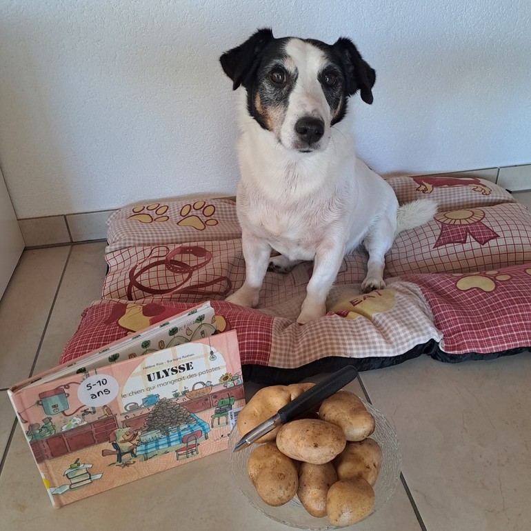 Ulysse le chien qui mangeait des patates
