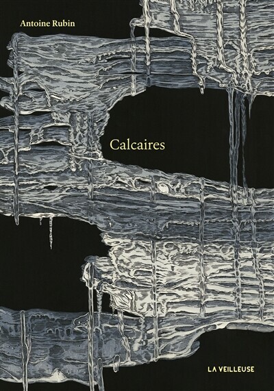 Calcaires : promenades en terres oubliées